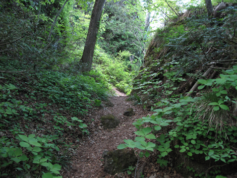 20140517hike (157)